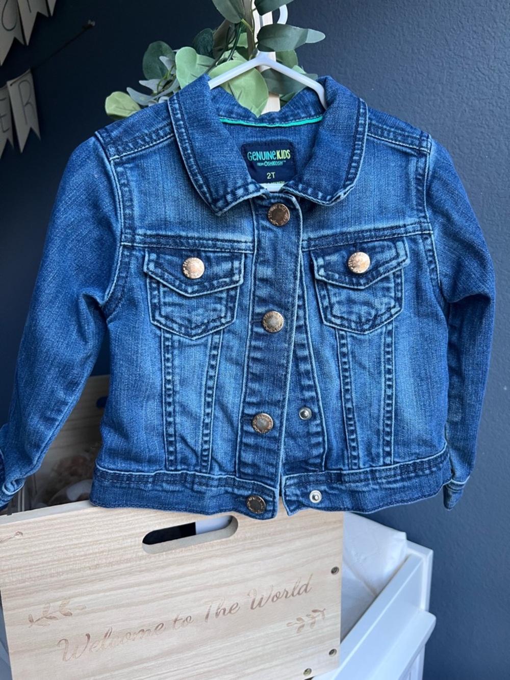 Toddler Denim Jacket - Blue